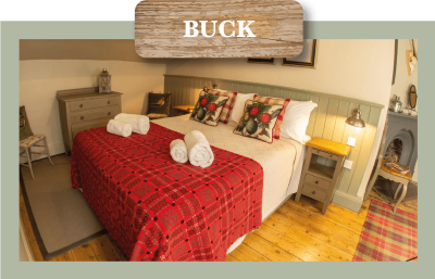 Buck-Room