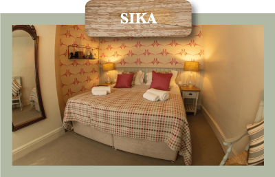 Sika-Room