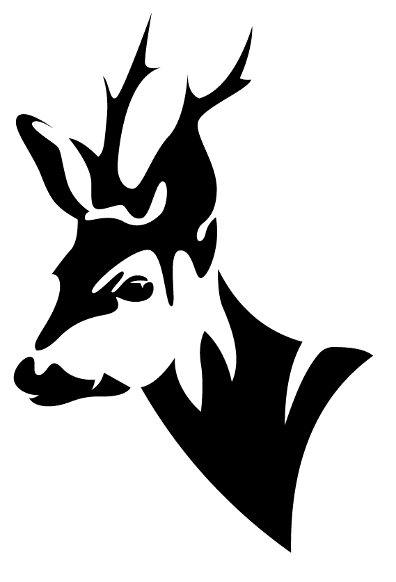 Higher Buck Waddington